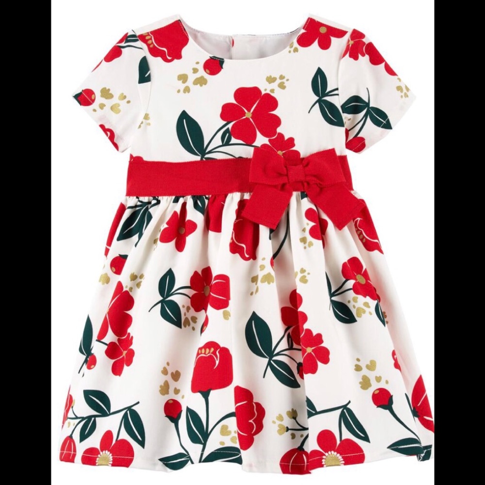 Carter’s Floral Holiday Dress (6 months) NWT